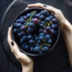 'Vanessa' Seedless Outdoor Grape Vine -Bloom And Harvest FRU0063 2