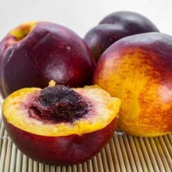 The 3 Best Fruits To Grow In Pots | Nectarine, Fig & Blueberry -Bloom And Harvest FRU0140 1 561976aa 3a41 4efc bcd6 02411302aa0e