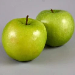 Granny Smith Apple Tree -Bloom And Harvest FRU0227 3