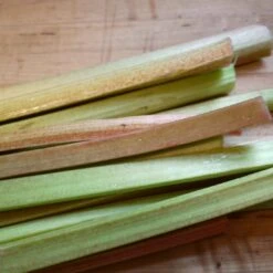 'Victoria' Rhubarb Plant -Bloom And Harvest VEG0187 3